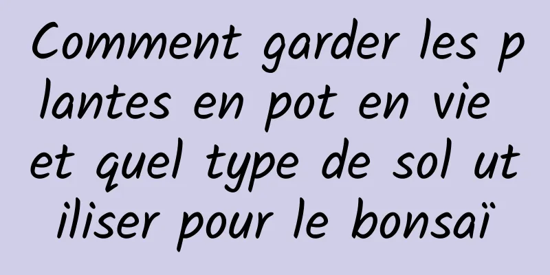 Comment garder les plantes en pot en vie et quel type de sol utiliser pour le bonsaï