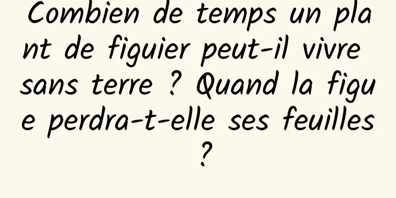 Combien de temps un plant de figuier peut-il vivre sans terre ? Quand la figue perdra-t-elle ses feuilles ?