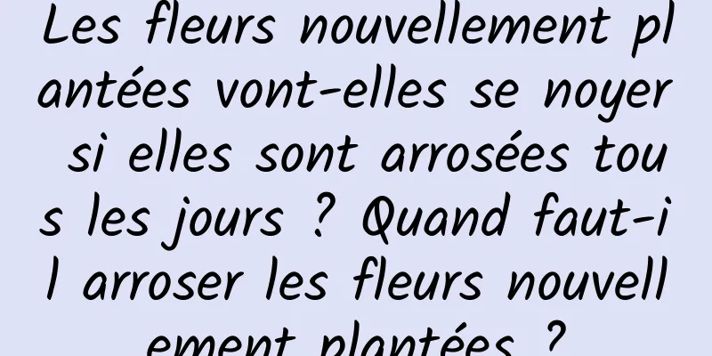 Les fleurs nouvellement plantées vont-elles se noyer si elles sont arrosées tous les jours ? Quand faut-il arroser les fleurs nouvellement plantées ?