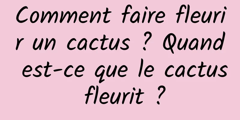 Comment faire fleurir un cactus ? Quand est-ce que le cactus fleurit ?