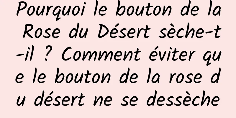 Pourquoi le bouton de la Rose du Désert sèche-t-il ? Comment éviter que le bouton de la rose du désert ne se dessèche