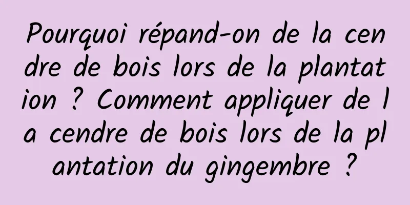 Pourquoi répand-on de la cendre de bois lors de la plantation ? Comment appliquer de la cendre de bois lors de la plantation du gingembre ?