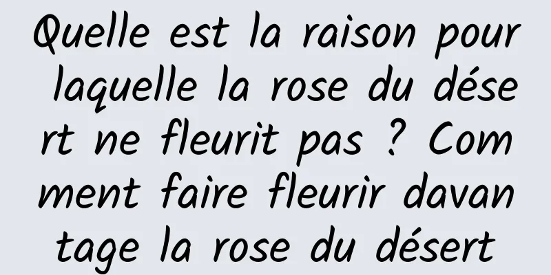 Quelle est la raison pour laquelle la rose du désert ne fleurit pas ? Comment faire fleurir davantage la rose du désert