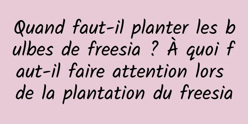Quand faut-il planter les bulbes de freesia ? À quoi faut-il faire attention lors de la plantation du freesia