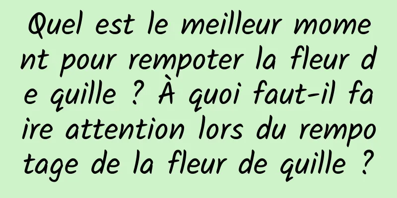 Quel est le meilleur moment pour rempoter la fleur de quille ? À quoi faut-il faire attention lors du rempotage de la fleur de quille ?