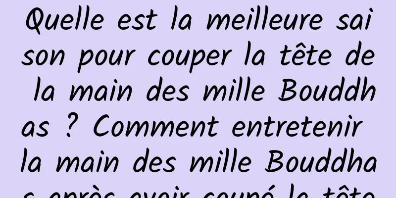 Quelle est la meilleure saison pour couper la tête de la main des mille Bouddhas ? Comment entretenir la main des mille Bouddhas après avoir coupé la tête