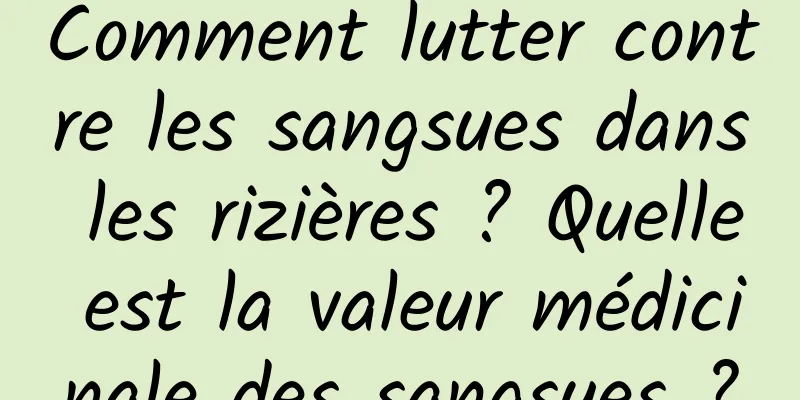 Comment lutter contre les sangsues dans les rizières ? Quelle est la valeur médicinale des sangsues ?