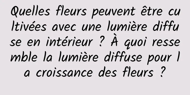 Quelles fleurs peuvent être cultivées avec une lumière diffuse en intérieur ? À quoi ressemble la lumière diffuse pour la croissance des fleurs ?