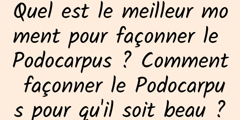 Quel est le meilleur moment pour façonner le Podocarpus ? Comment façonner le Podocarpus pour qu'il soit beau ?