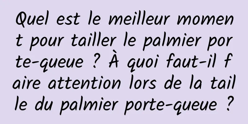 Quel est le meilleur moment pour tailler le palmier porte-queue ? À quoi faut-il faire attention lors de la taille du palmier porte-queue ?