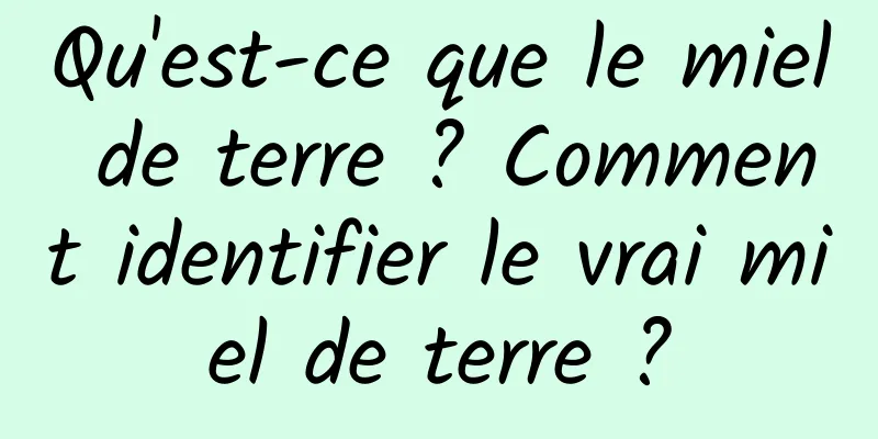 Qu'est-ce que le miel de terre ? Comment identifier le vrai miel de terre ?