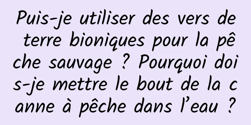 Puis-je utiliser des vers de terre bioniques pour la pêche sauvage ? Pourquoi dois-je mettre le bout de la canne à pêche dans l’eau ?