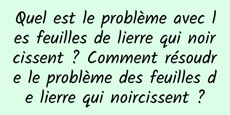 Quel est le problème avec les feuilles de lierre qui noircissent ? Comment résoudre le problème des feuilles de lierre qui noircissent ?