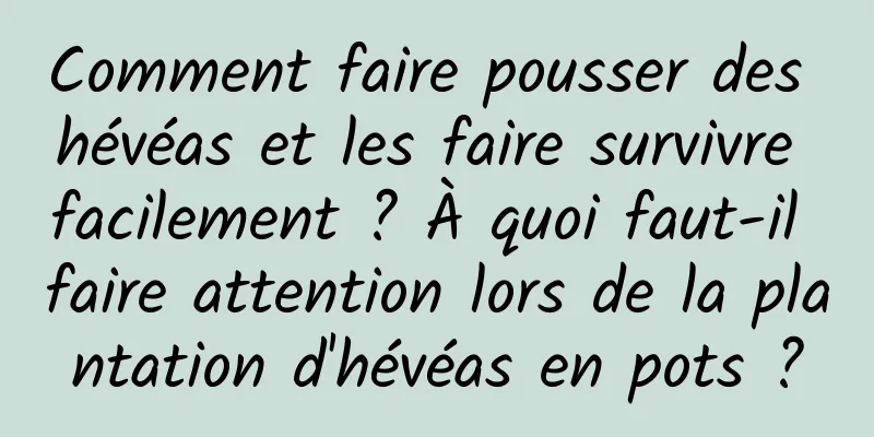 Comment faire pousser des hévéas et les faire survivre facilement ? À quoi faut-il faire attention lors de la plantation d'hévéas en pots ?