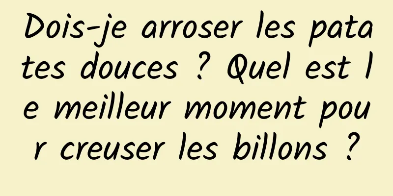 Dois-je arroser les patates douces ? Quel est le meilleur moment pour creuser les billons ?