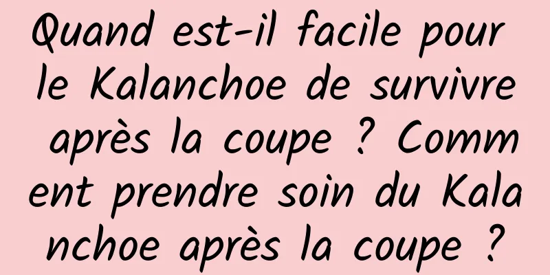 Quand est-il facile pour le Kalanchoe de survivre après la coupe ? Comment prendre soin du Kalanchoe après la coupe ?
