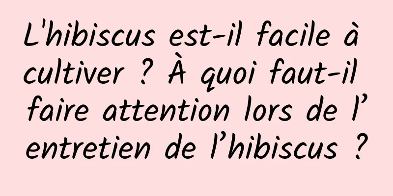 L'hibiscus est-il facile à cultiver ? À quoi faut-il faire attention lors de l’entretien de l’hibiscus ?