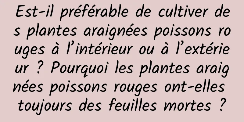 Est-il préférable de cultiver des plantes araignées poissons rouges à l’intérieur ou à l’extérieur ? Pourquoi les plantes araignées poissons rouges ont-elles toujours des feuilles mortes ?