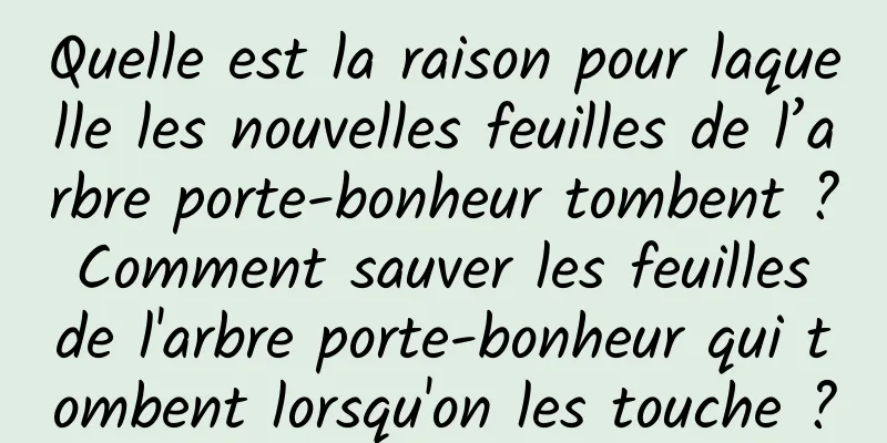 Quelle est la raison pour laquelle les nouvelles feuilles de l’arbre porte-bonheur tombent ? Comment sauver les feuilles de l'arbre porte-bonheur qui tombent lorsqu'on les touche ?
