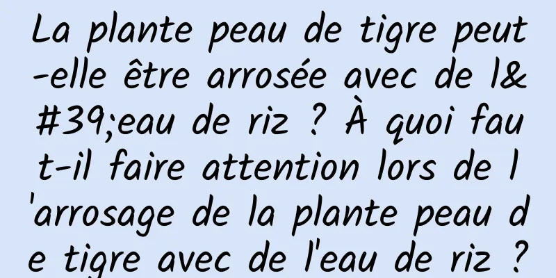 La plante peau de tigre peut-elle être arrosée avec de l'eau de riz ? À quoi faut-il faire attention lors de l'arrosage de la plante peau de tigre avec de l'eau de riz ?