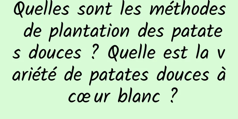 Quelles sont les méthodes de plantation des patates douces ? Quelle est la variété de patates douces à cœur blanc ?