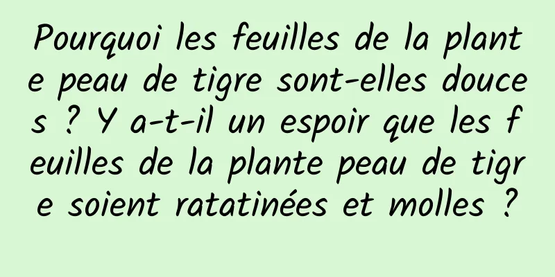 Pourquoi les feuilles de la plante peau de tigre sont-elles douces ? Y a-t-il un espoir que les feuilles de la plante peau de tigre soient ratatinées et molles ?