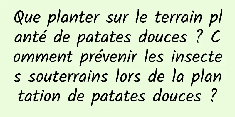 Que planter sur le terrain planté de patates douces ? Comment prévenir les insectes souterrains lors de la plantation de patates douces ?