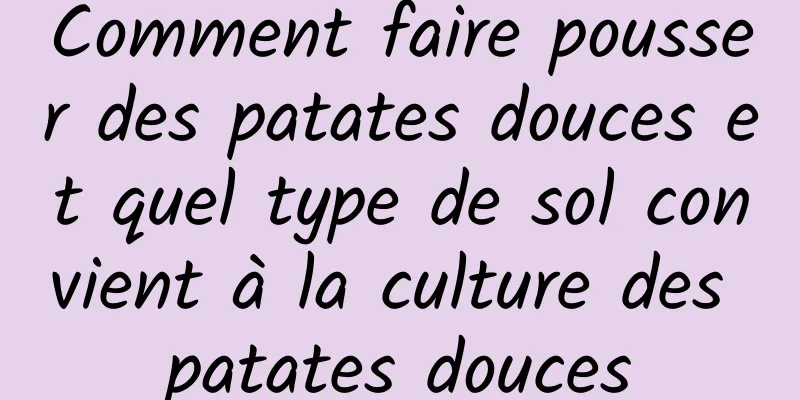 Comment faire pousser des patates douces et quel type de sol convient à la culture des patates douces