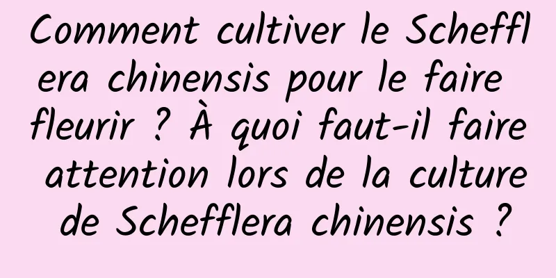 Comment cultiver le Schefflera chinensis pour le faire fleurir ? À quoi faut-il faire attention lors de la culture de Schefflera chinensis ?