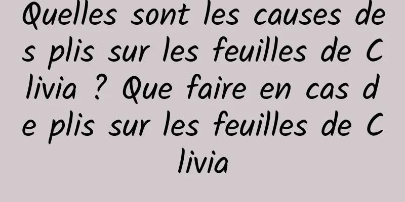 Quelles sont les causes des plis sur les feuilles de Clivia ? Que faire en cas de plis sur les feuilles de Clivia