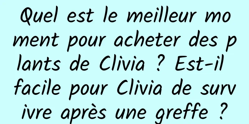Quel est le meilleur moment pour acheter des plants de Clivia ? Est-il facile pour Clivia de survivre après une greffe ?