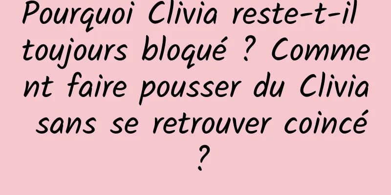 Pourquoi Clivia reste-t-il toujours bloqué ? Comment faire pousser du Clivia sans se retrouver coincé ?