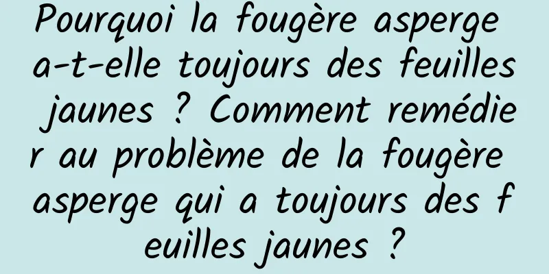 Pourquoi la fougère asperge a-t-elle toujours des feuilles jaunes ? Comment remédier au problème de la fougère asperge qui a toujours des feuilles jaunes ?