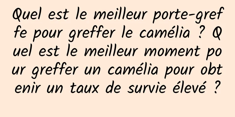 Quel est le meilleur porte-greffe pour greffer le camélia ? Quel est le meilleur moment pour greffer un camélia pour obtenir un taux de survie élevé ?