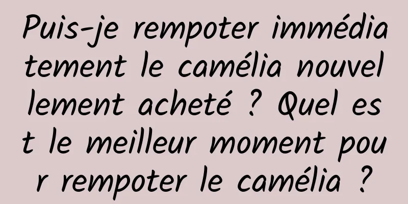 Puis-je rempoter immédiatement le camélia nouvellement acheté ? Quel est le meilleur moment pour rempoter le camélia ?