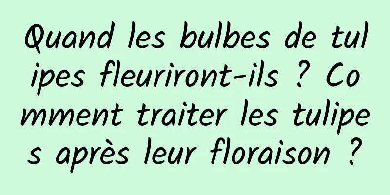 Quand les bulbes de tulipes fleuriront-ils ? Comment traiter les tulipes après leur floraison ?