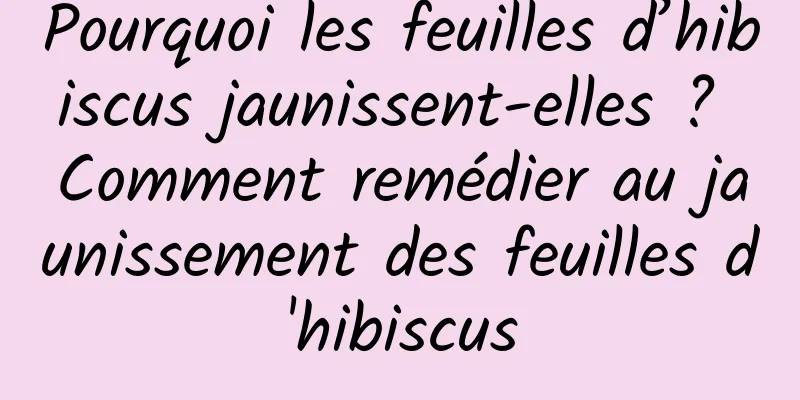 Pourquoi les feuilles d’hibiscus jaunissent-elles ? Comment remédier au jaunissement des feuilles d'hibiscus