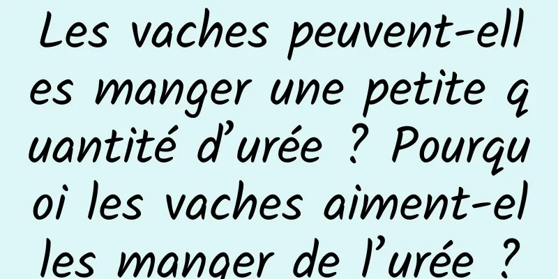 Les vaches peuvent-elles manger une petite quantité d’urée ? Pourquoi les vaches aiment-elles manger de l’urée ?