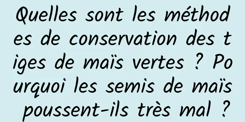 Quelles sont les méthodes de conservation des tiges de maïs vertes ? Pourquoi les semis de maïs poussent-ils très mal ?