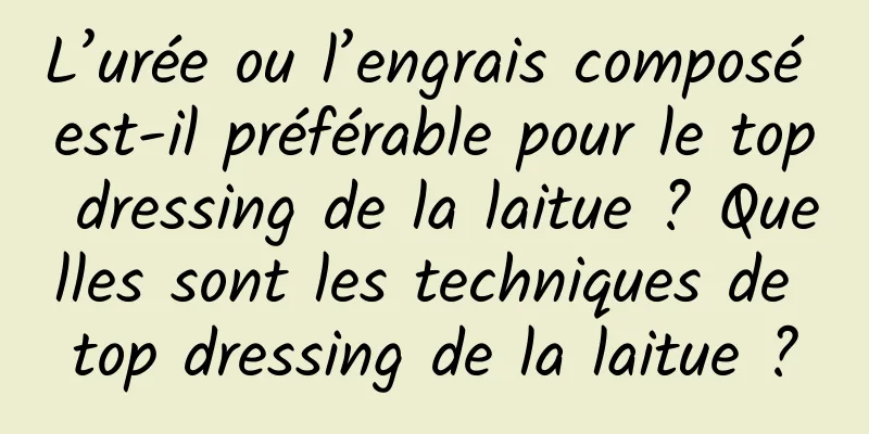 L’urée ou l’engrais composé est-il préférable pour le top dressing de la laitue ? Quelles sont les techniques de top dressing de la laitue ?