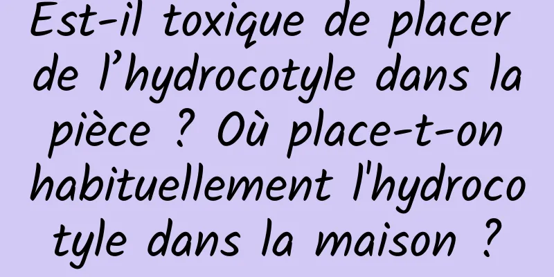 Est-il toxique de placer de l’hydrocotyle dans la pièce ? Où place-t-on habituellement l'hydrocotyle dans la maison ?