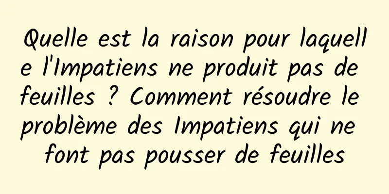 Quelle est la raison pour laquelle l'Impatiens ne produit pas de feuilles ? Comment résoudre le problème des Impatiens qui ne font pas pousser de feuilles