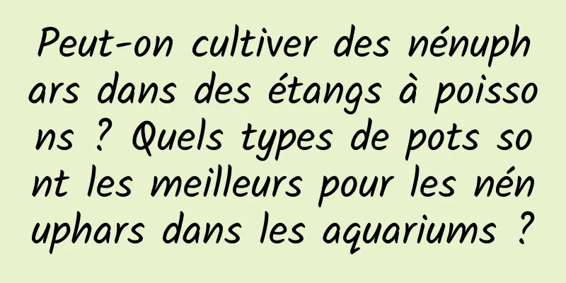 Peut-on cultiver des nénuphars dans des étangs à poissons ? Quels types de pots sont les meilleurs pour les nénuphars dans les aquariums ?