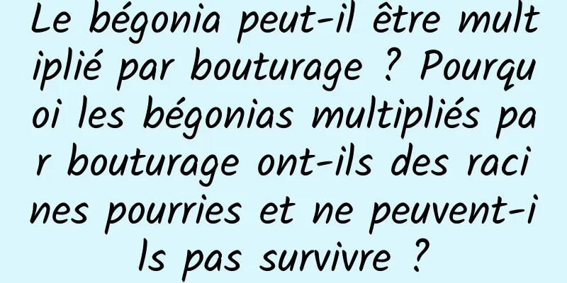Le bégonia peut-il être multiplié par bouturage ? Pourquoi les bégonias multipliés par bouturage ont-ils des racines pourries et ne peuvent-ils pas survivre ?