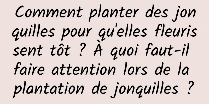 Comment planter des jonquilles pour qu'elles fleurissent tôt ? À quoi faut-il faire attention lors de la plantation de jonquilles ?