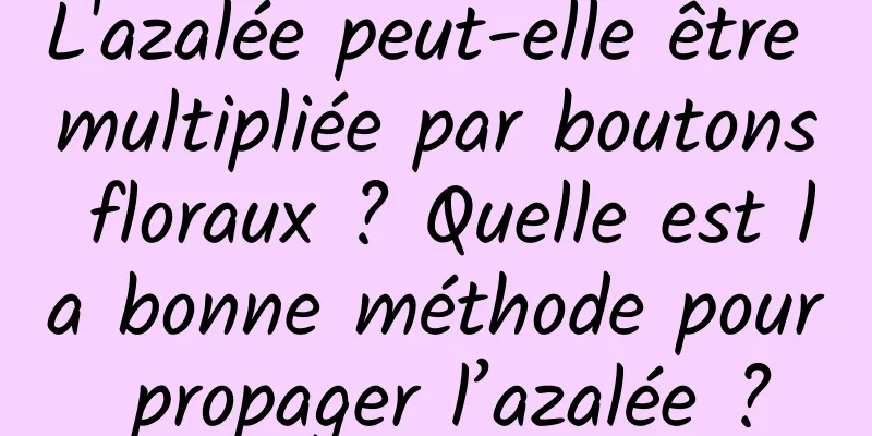 L'azalée peut-elle être multipliée par boutons floraux ? Quelle est la bonne méthode pour propager l’azalée ?