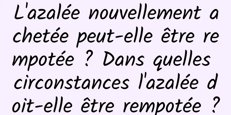 L'azalée nouvellement achetée peut-elle être rempotée ? Dans quelles circonstances l'azalée doit-elle être rempotée ?