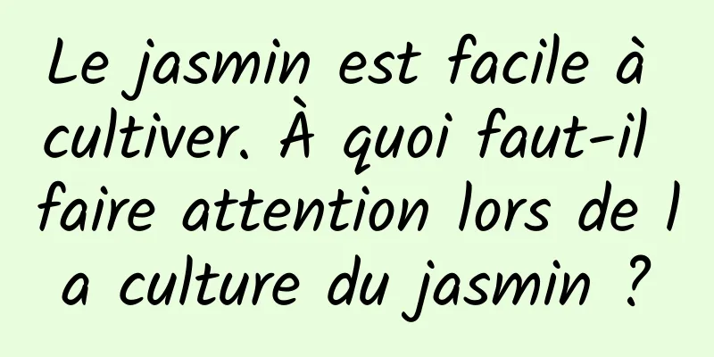 Le jasmin est facile à cultiver. À quoi faut-il faire attention lors de la culture du jasmin ?
