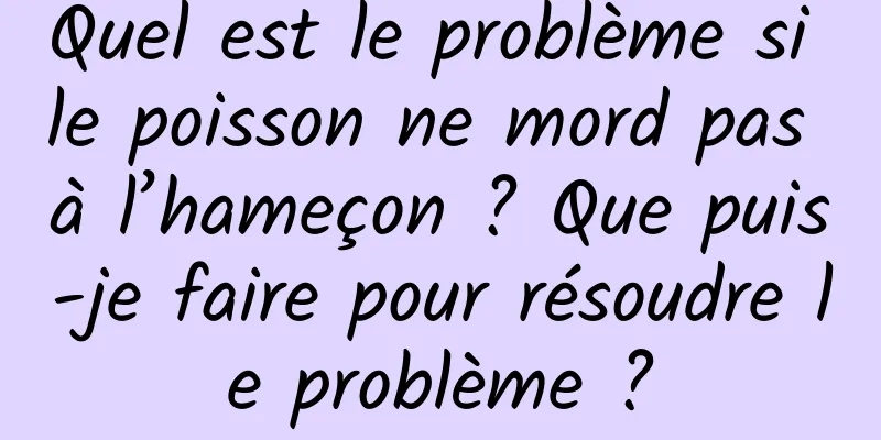 Quel est le problème si le poisson ne mord pas à l’hameçon ? Que puis-je faire pour résoudre le problème ?