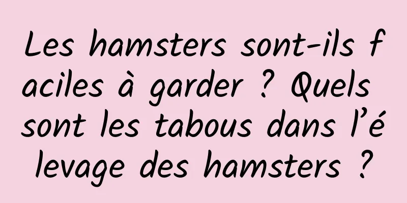 Les hamsters sont-ils faciles à garder ? Quels sont les tabous dans l’élevage des hamsters ?